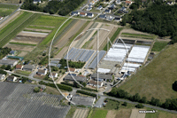 37270 Saint-Martin-le-Beau - photo - Saint-Martin-le-Beau (le Gros Buisson)