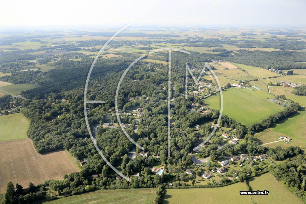 Photo arienne de Chailly-en-Gtinais (le Bois de Romaison)