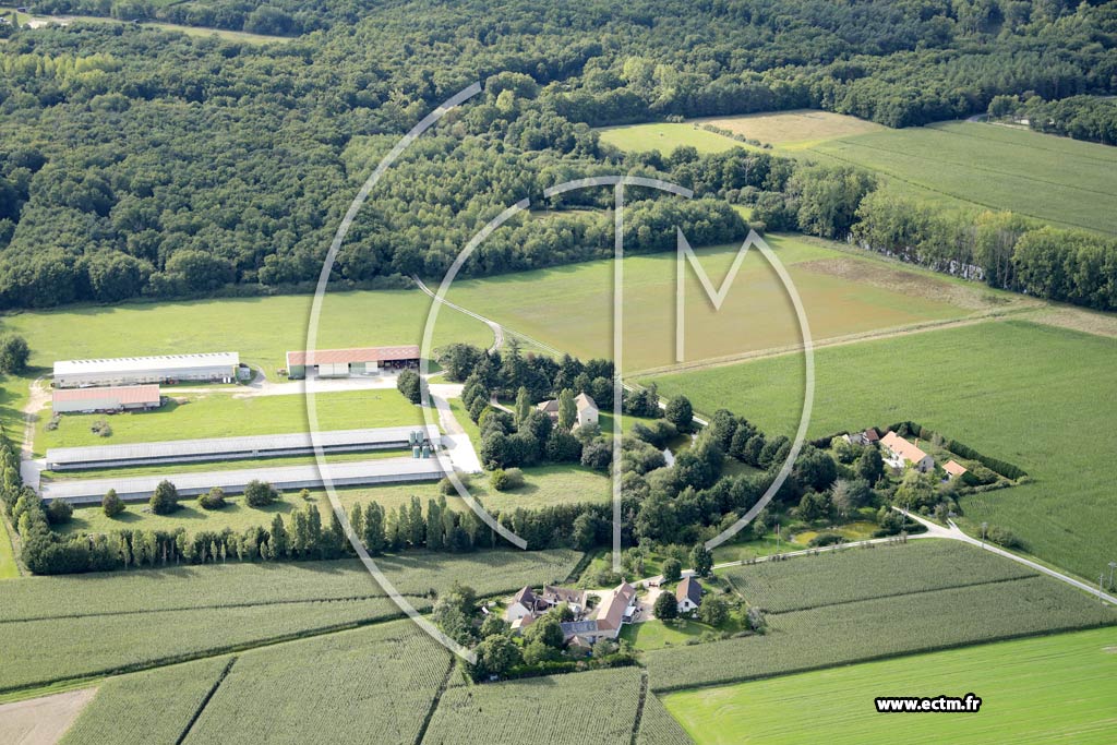 Photo arienne de Bouzy-la-Fort (les Psaudires)