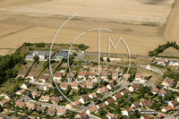 28130 Houx - photo - Houx
