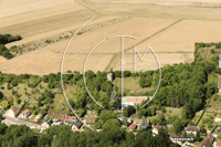 28130 Houx - photo - Houx