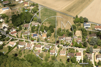 28130 Houx - photo - Houx