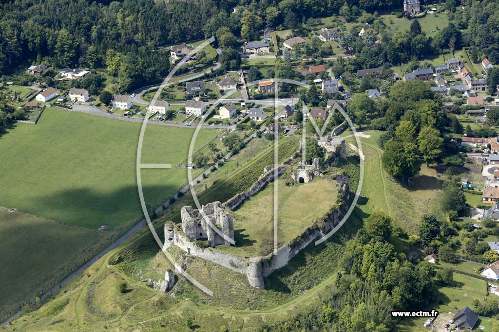 Photo arienne de Arques-la-Bataille (Ruines du Chteau)