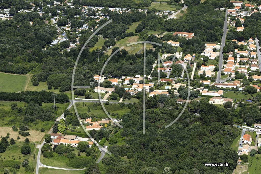 Photo arienne de Dolus-d'Olron (Le Moulin de Bussac)