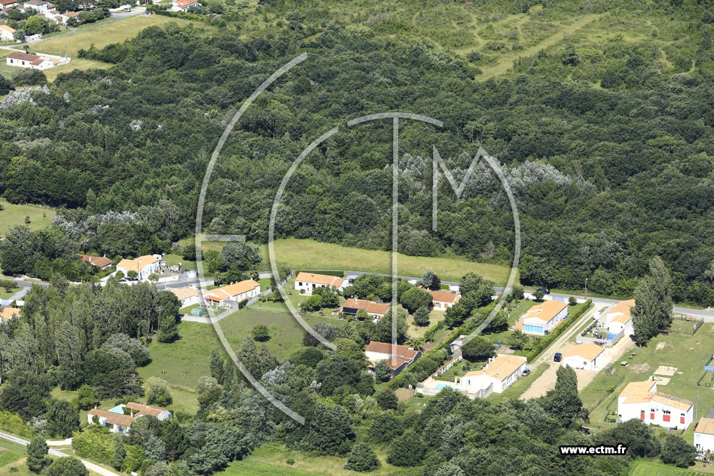 Photo arienne de Le Chteau-d'Olron (La Gaconnire)