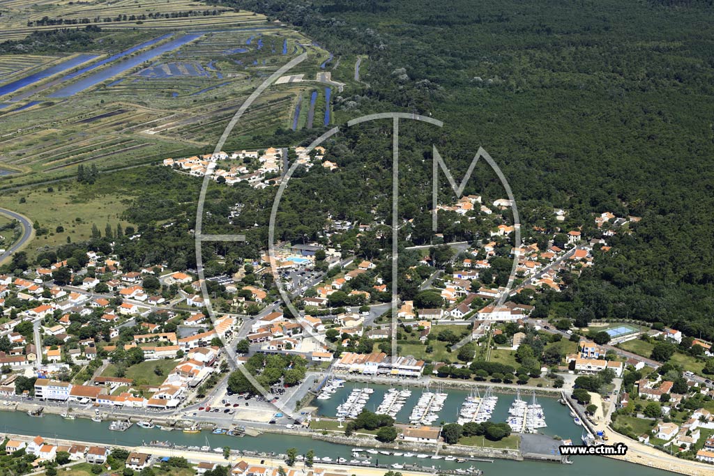 Photo arienne de Saint-Georges-d'Olron (Boyardville)