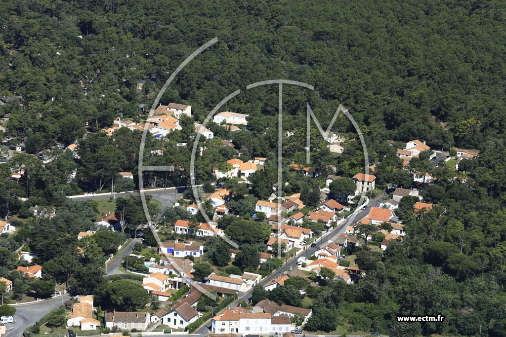 Photo arienne de Saint-Georges-d'Olron (Boyardville)