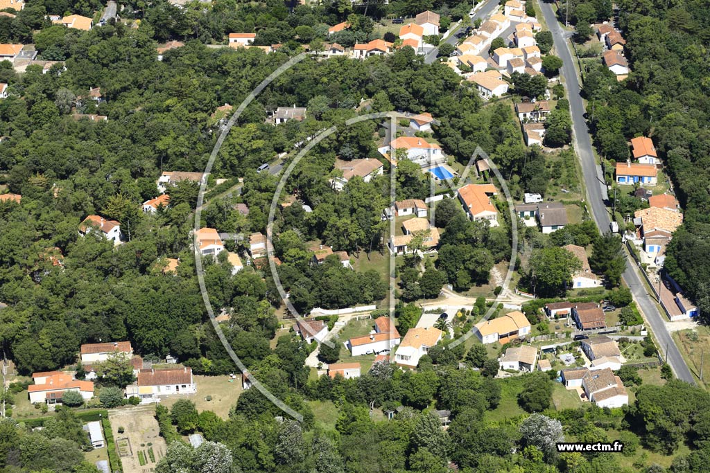 Photo arienne de Saint-Georges-d'Olron (Domino)