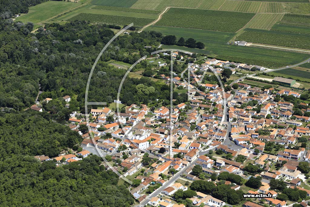 Photo arienne de Saint-Georges-d'Olron (Domino)