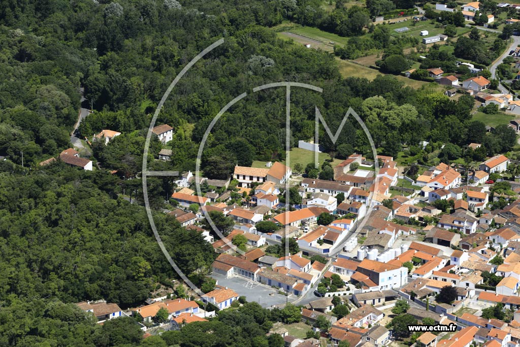 Photo arienne de Saint-Georges-d'Olron (Domino)