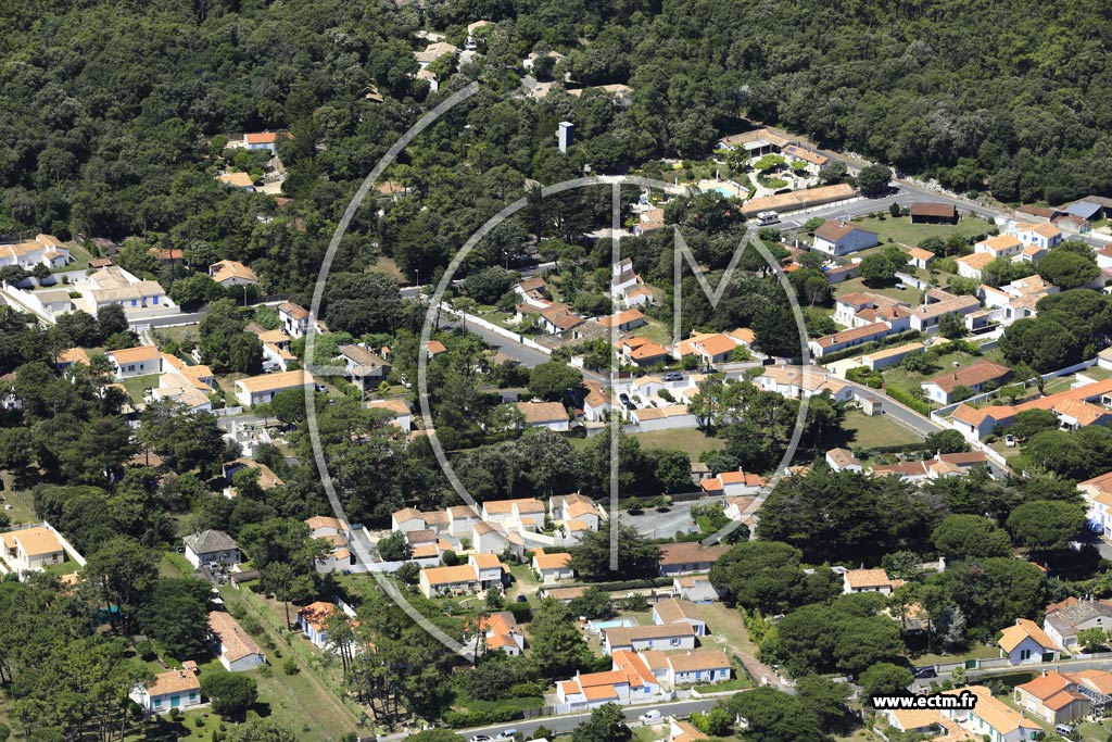 Photo arienne de Saint-Georges-d'Olron (Domino)