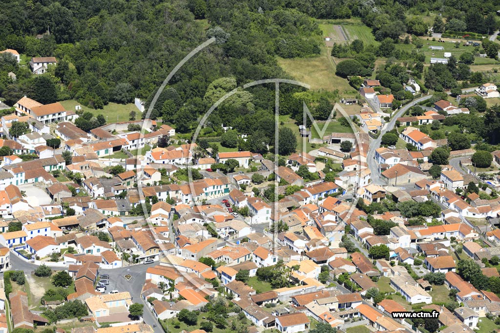Photo arienne de Saint-Georges-d'Olron (Domino)