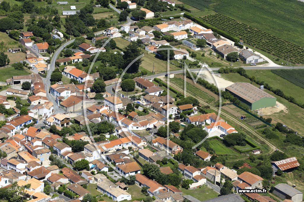 Photo arienne de Saint-Georges-d'Olron (Domino)