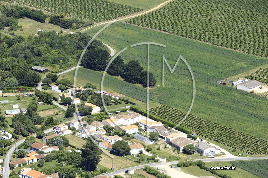 Photo arienne de Saint-Georges-d'Olron (Domino)
