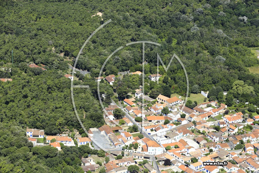 Photo arienne de Saint-Georges-d'Olron (Domino)