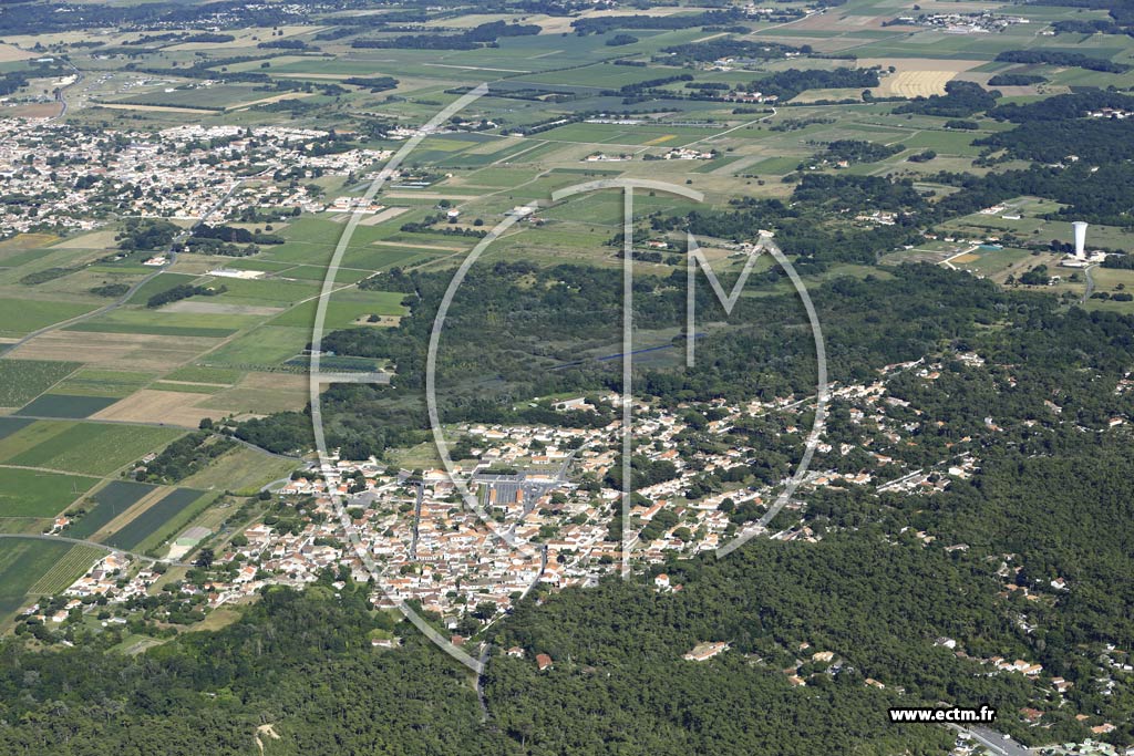 Photo arienne de Saint-Georges-d'Olron (Domino)