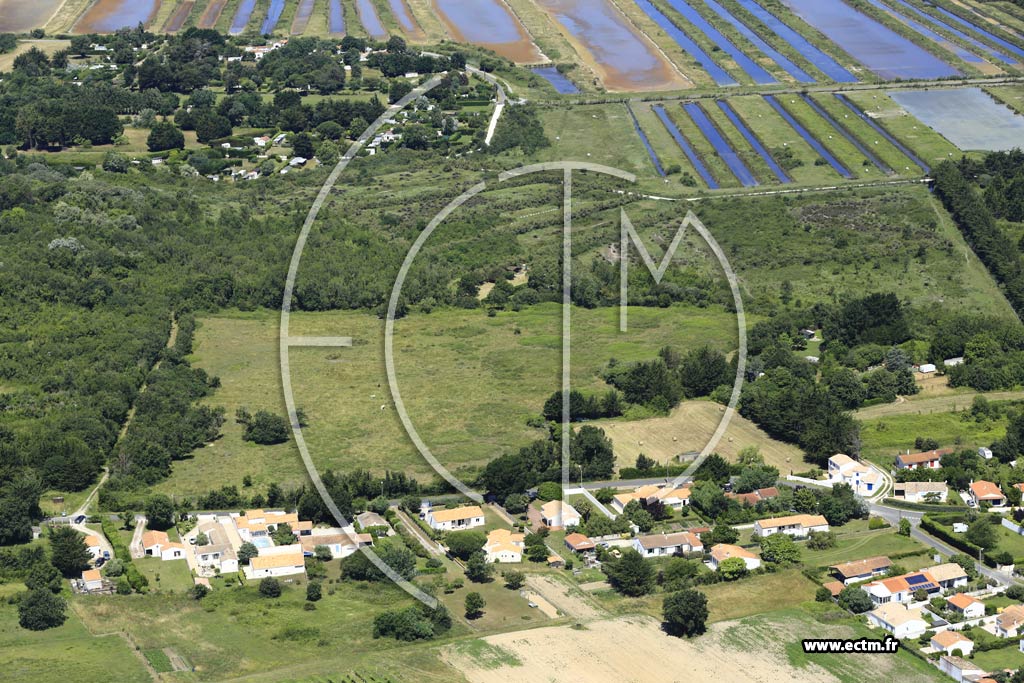 Photo arienne de Saint-Georges-d'Olron (Foulerot)