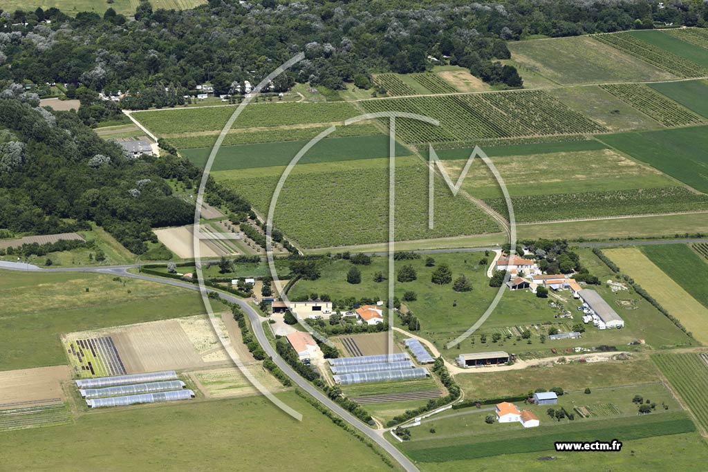 Photo arienne de Saint-Georges-d'Olron (La Josire)