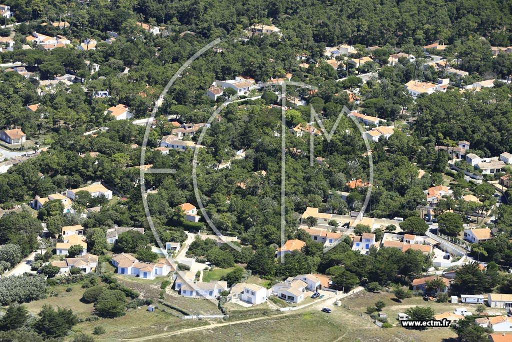 Photo arienne de Saint-Georges-d'Olron (Les Epinouses)