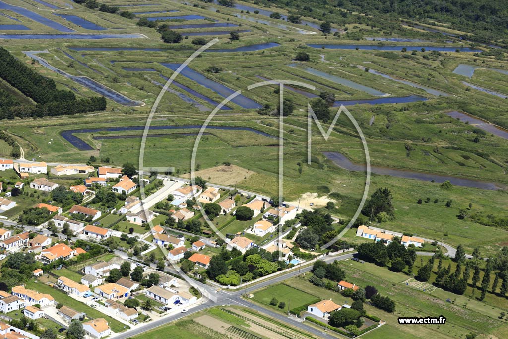 Photo arienne de Saint-Georges-d'Olron (Sauzelle)