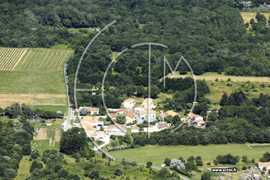Photo arienne de Saint-Pierre-d'Olron (l'Emerire)