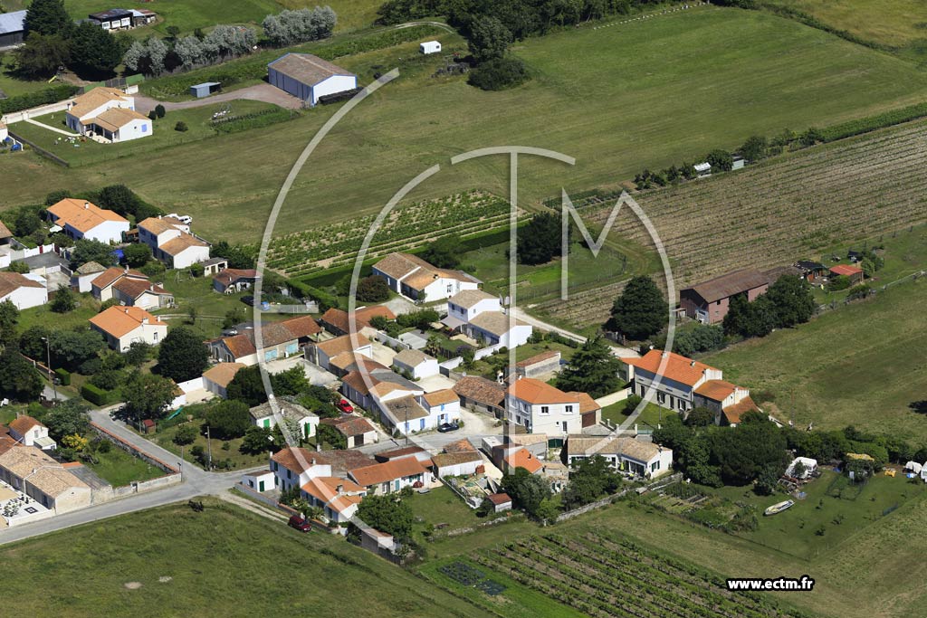 Photo arienne de Saint-Pierre-d'Olron (La Mchinire)