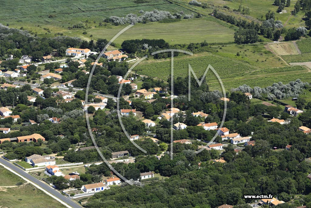 Photo arienne de Saint-Pierre-d'Olron (La Menounire)