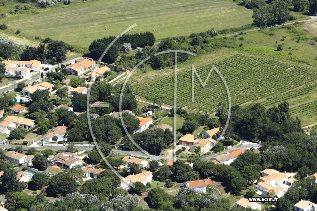 Photo arienne de Saint-Pierre-d'Olron (La Menounire)