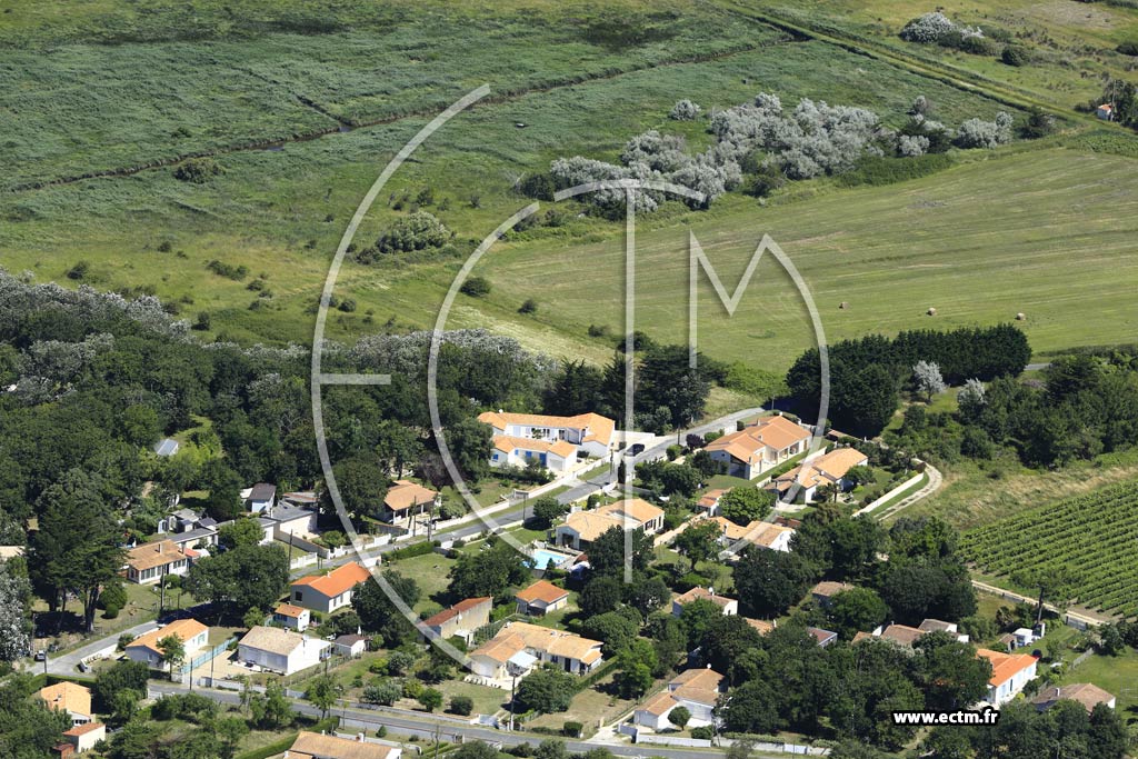 Photo arienne de Saint-Pierre-d'Olron (La Menounire)