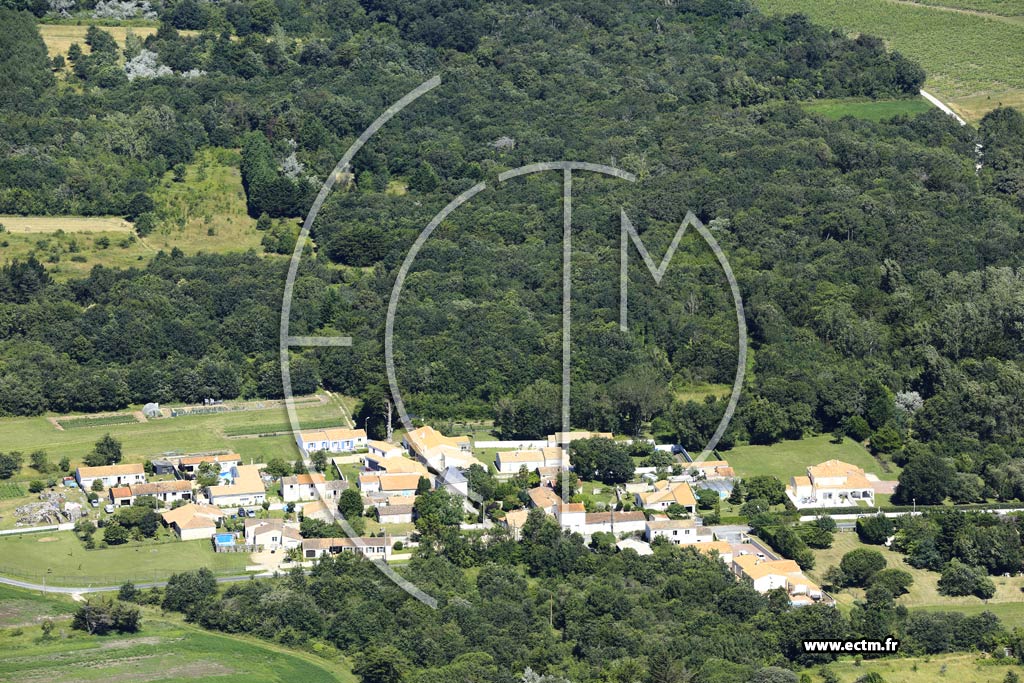 Photo arienne de Saint-Pierre-d'Olron (La Thibaudire)