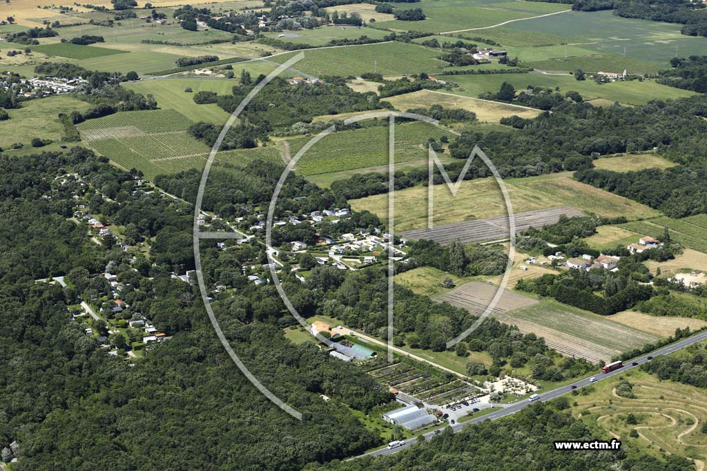 Photo arienne de Saint-Pierre-d'Olron (Les Bounives)