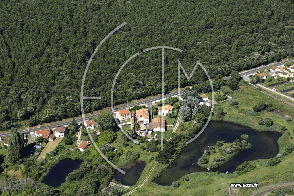 Photo arienne de Saint-Trojan-les-Bains (Bel Air)