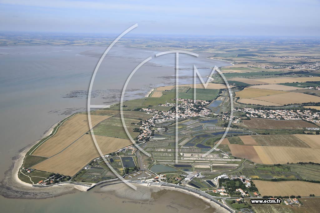 Photo arienne de Nieul sur Mer (Lauzires)
