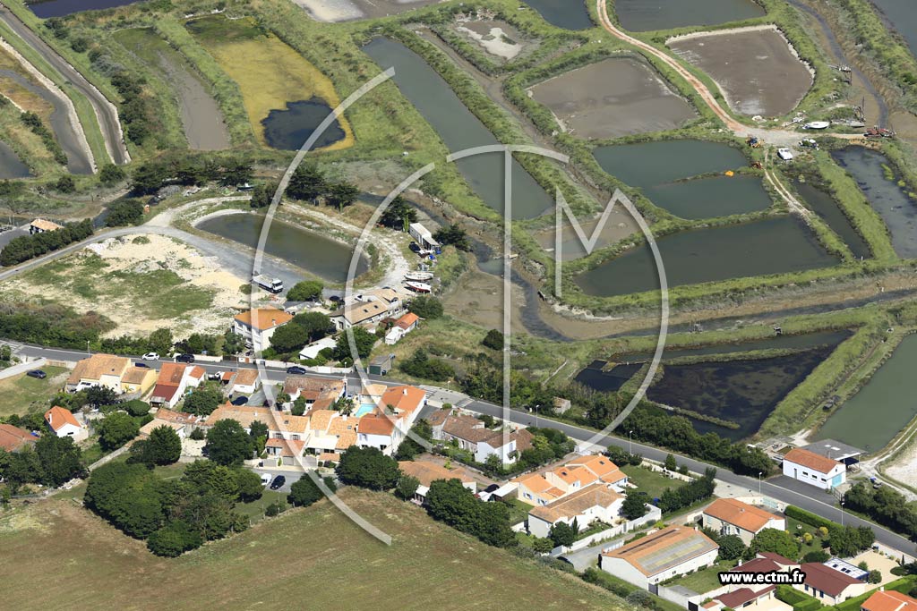 Photo arienne de Nieul-sur-Mer (Lauzires)