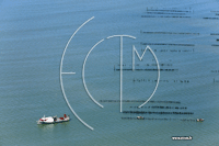 Photos de La Tranche-sur-Mer (les cluseaux)