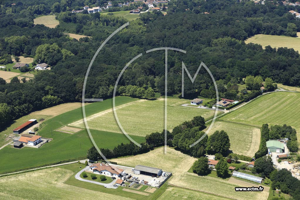 Photo arienne de Saint-Martin-de-Seignanx (Bernat)