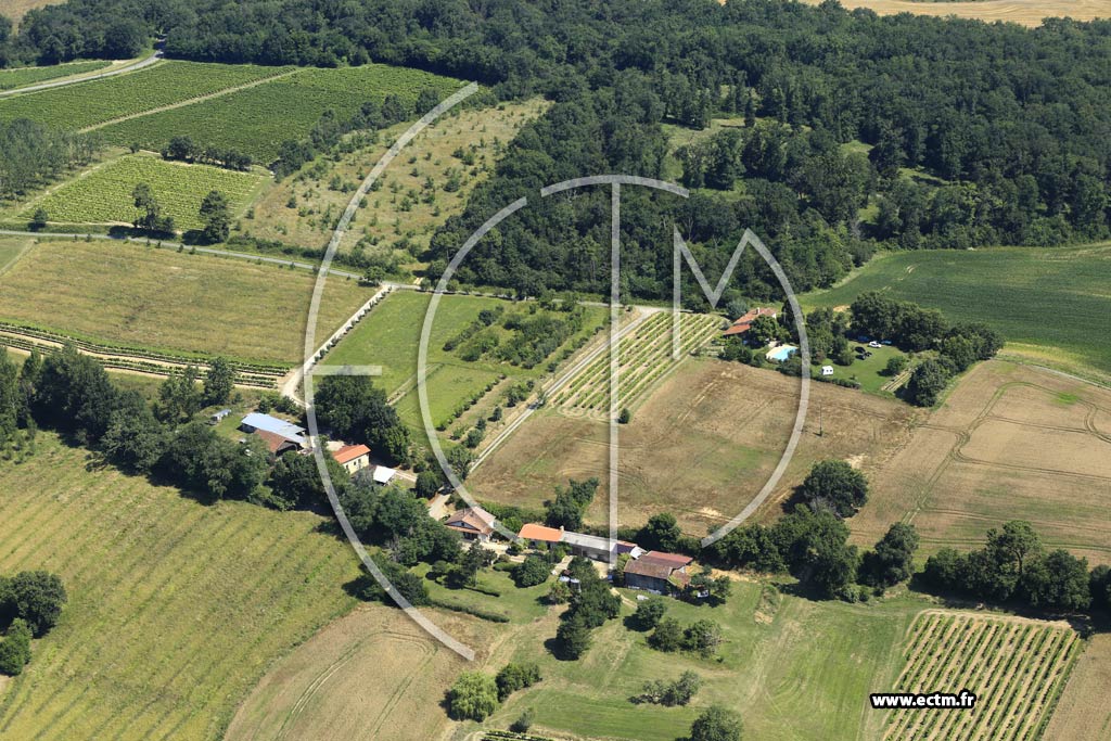 Photo arienne de Montral (les Matalnes)