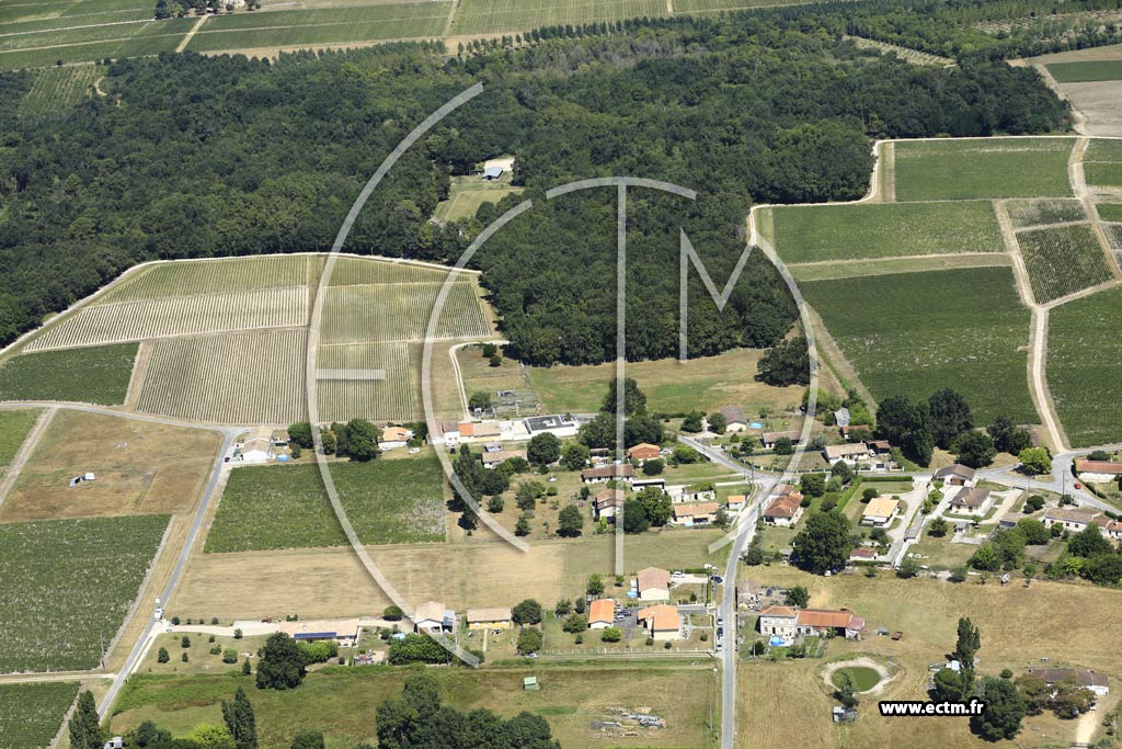Photo arienne de Cussac-Fort-Mdoc