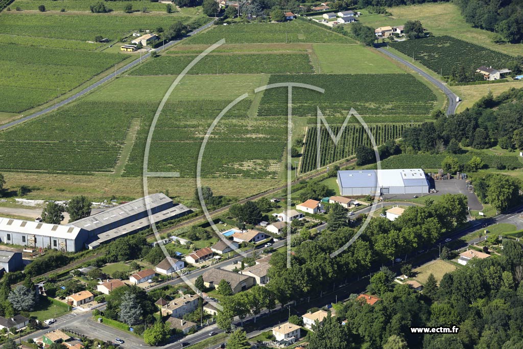 Photo arienne de Castillon-la-Bataille (Mounan)