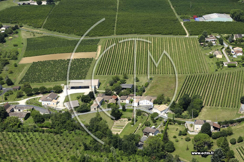 Photo arienne de Saint-Andr-et-Appelles (le Grand Montet)