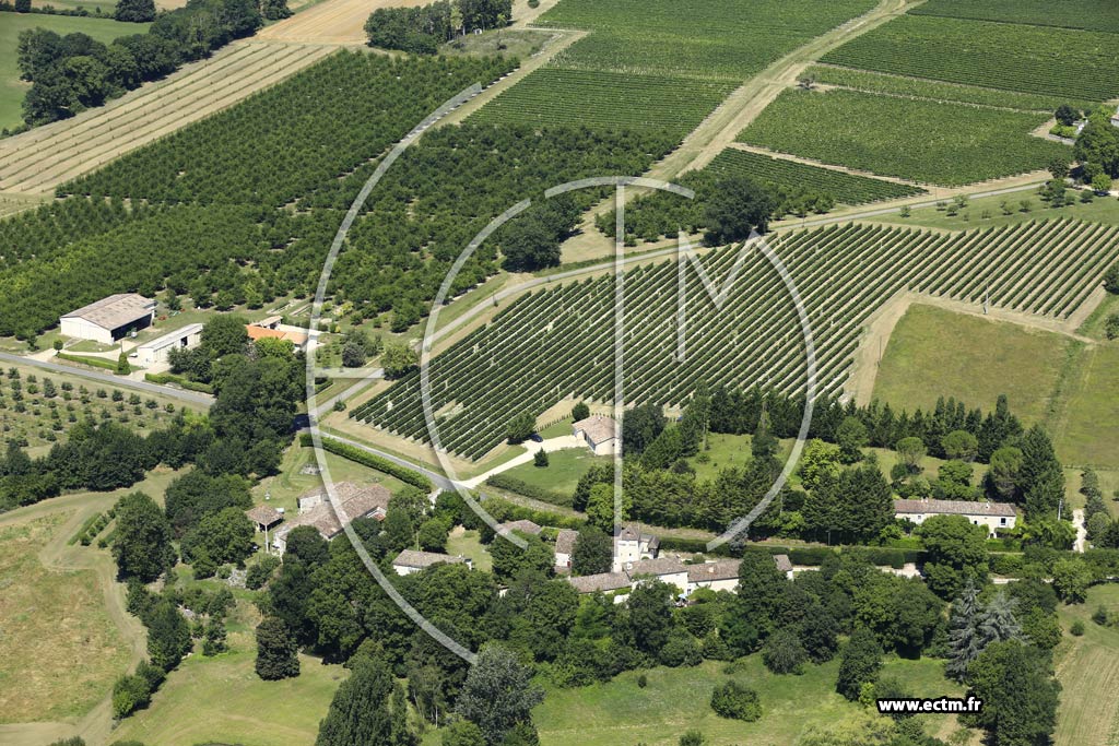 Photo arienne de Villeneuve-de-Duras (les Cadras)