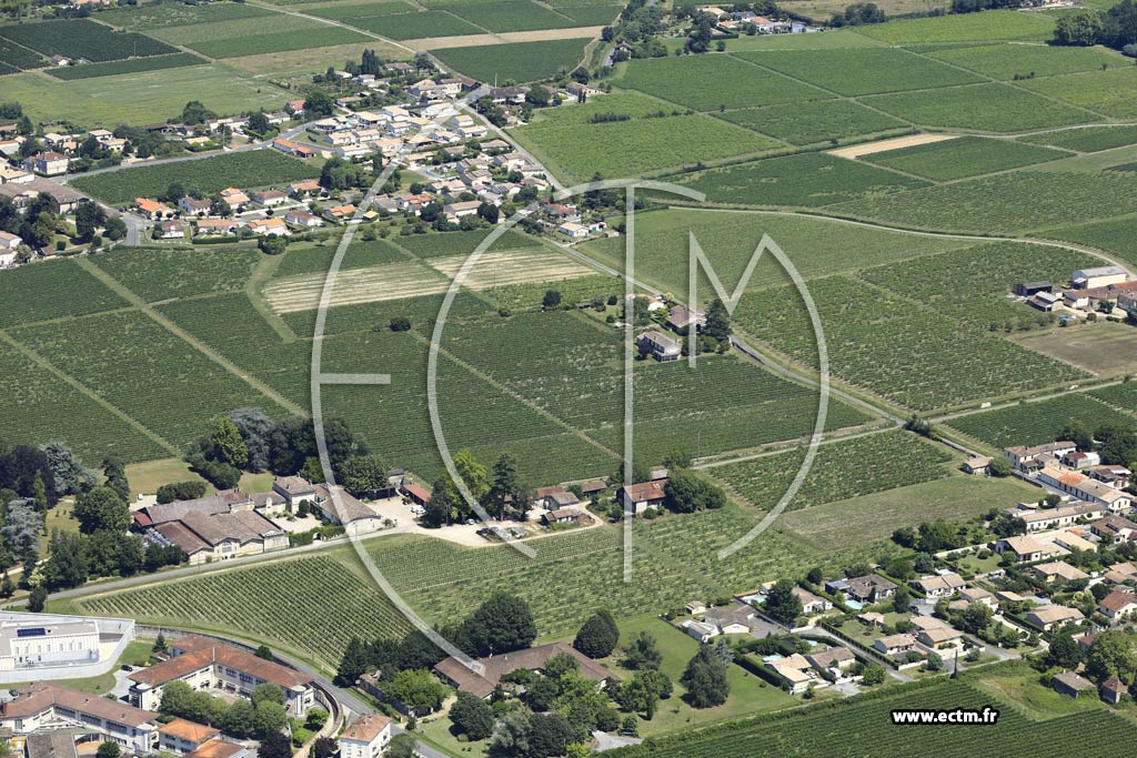 Photo arienne de Cadillac (Fayau)