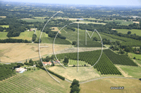 Photos de Eauze (chemin des Landes)