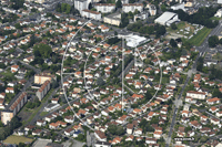 64000 Pau - photo - Pau (Plant)