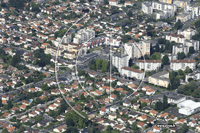 64000 Pau - photo - Pau (Plant)