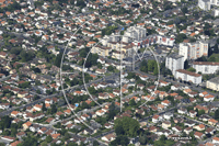 64000 Pau - photo - Pau (Plant)