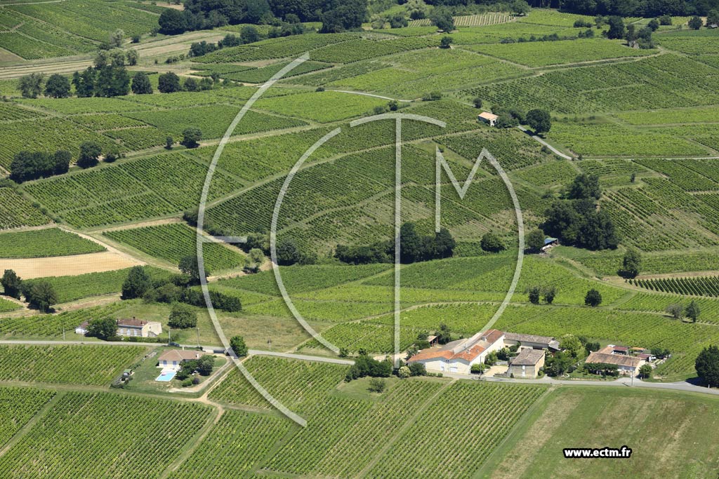 Photo arienne de Sainte-Croix-du-Mont (Lardin)