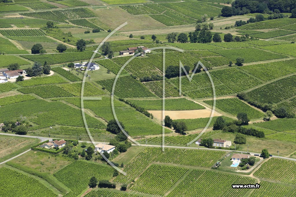 Photo arienne de Sainte-Croix-du-Mont (Lardin)