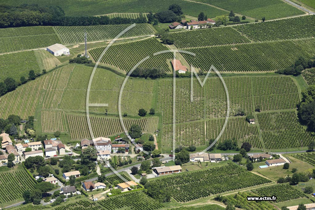 Photo arienne de Sainte-Croix-du-Mont (Larrivat)