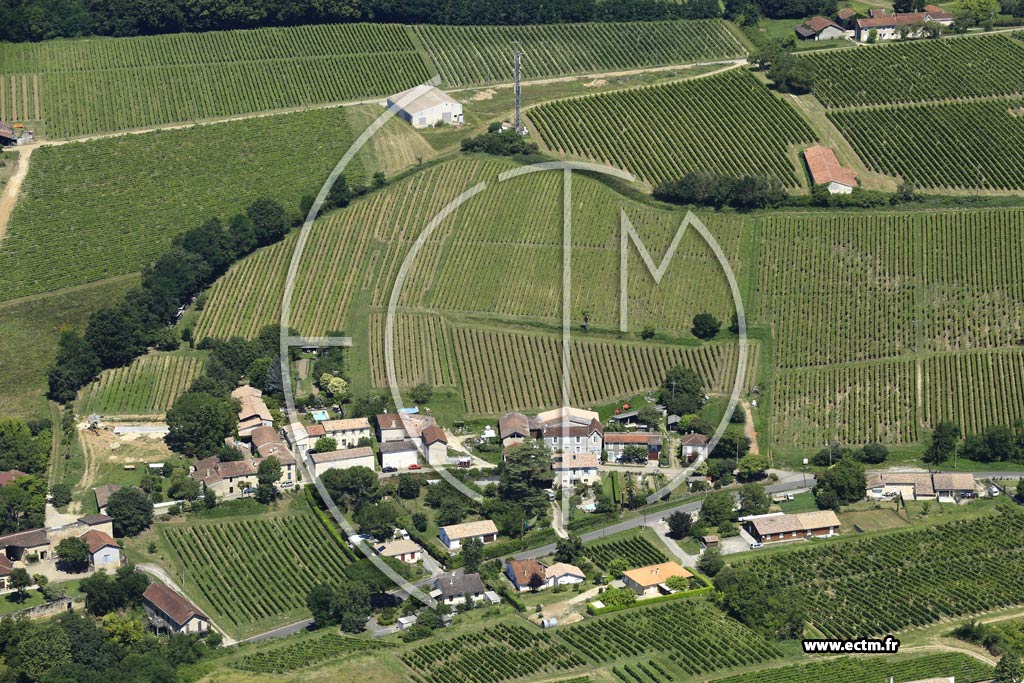 Photo arienne de Sainte-Croix-du-Mont (Larrivat)
